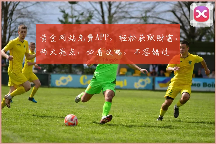 黄金网站免费APP，轻松获取财富，两大亮点，必看攻略，不容错过