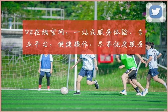 wg在线官网，一站式服务体验，专业平台，便捷操作，尽享优质服务，值得信赖