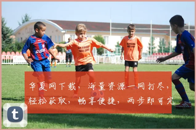 华夏网下载，海量资源一网打尽，轻松获取，畅享便捷，两步即可完成